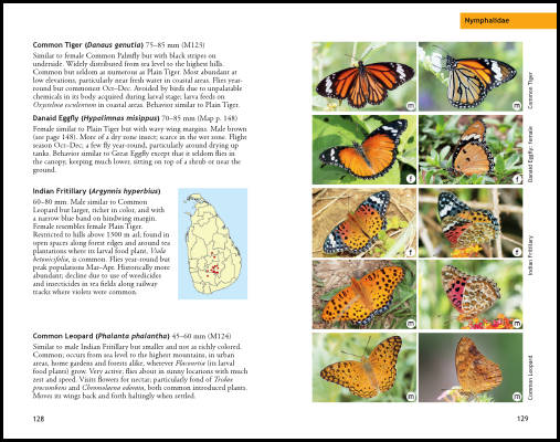 2-page spread of Field Guide to the Butterflies of Sri Lanka by George Michael van der Poorten and Nancy E. van der Poorten